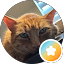 chester hufstedler Avatar